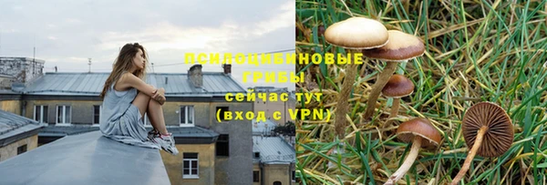 эйфоретик Михайловск