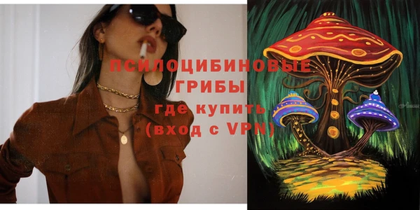 прущая мука Медвежьегорск