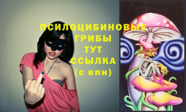 дживик Михайлов