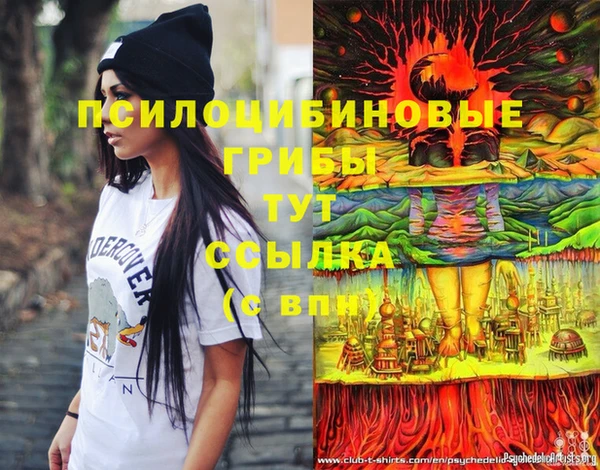 эйфоретик Михайловск